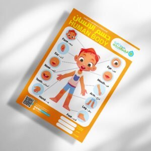 جسم الإنسان – أتعلم أجزاء الجسم مع قطر الندى