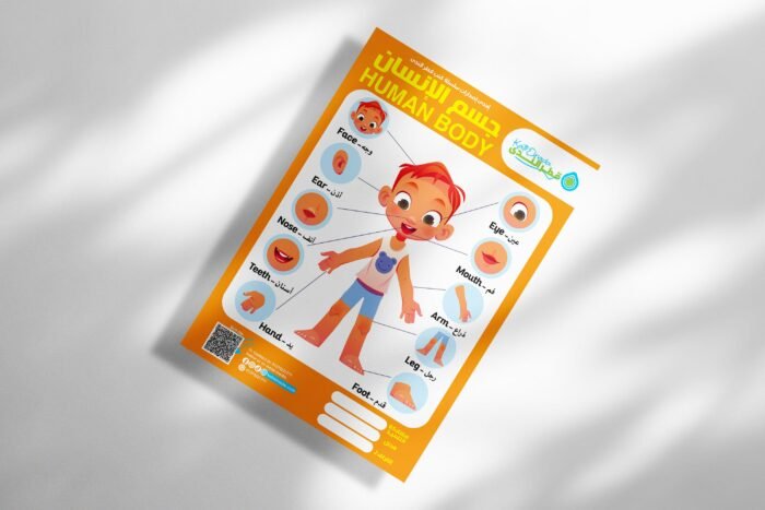 جسم الإنسان – أتعلم أجزاء الجسم مع قطر الندى