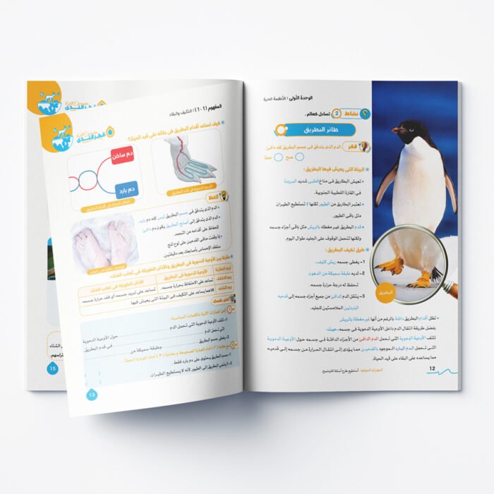 ⁦العلوم الصف الرابع الابتدائي الفصل الدراسي الأول 2026⁩ - الصورة ⁦3⁩
